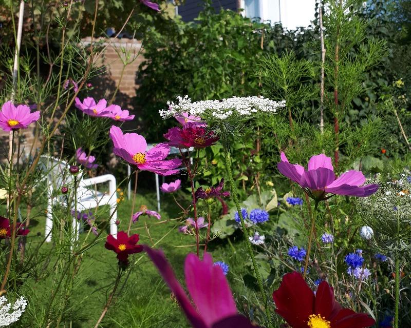 20250702_085616_nat-rn-terrain-843_photo_jardin.jpg