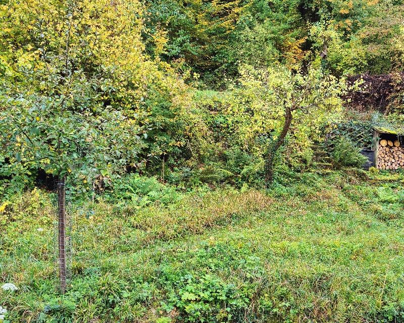 20251013_082848_nat-rn-terrain-1219_photo_Jardin20251013.jpg