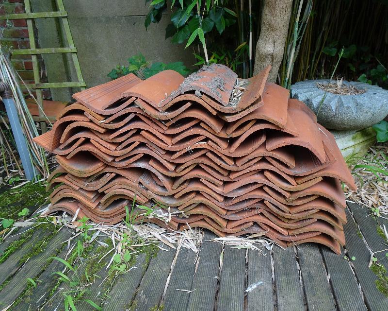 Accueil de la faune