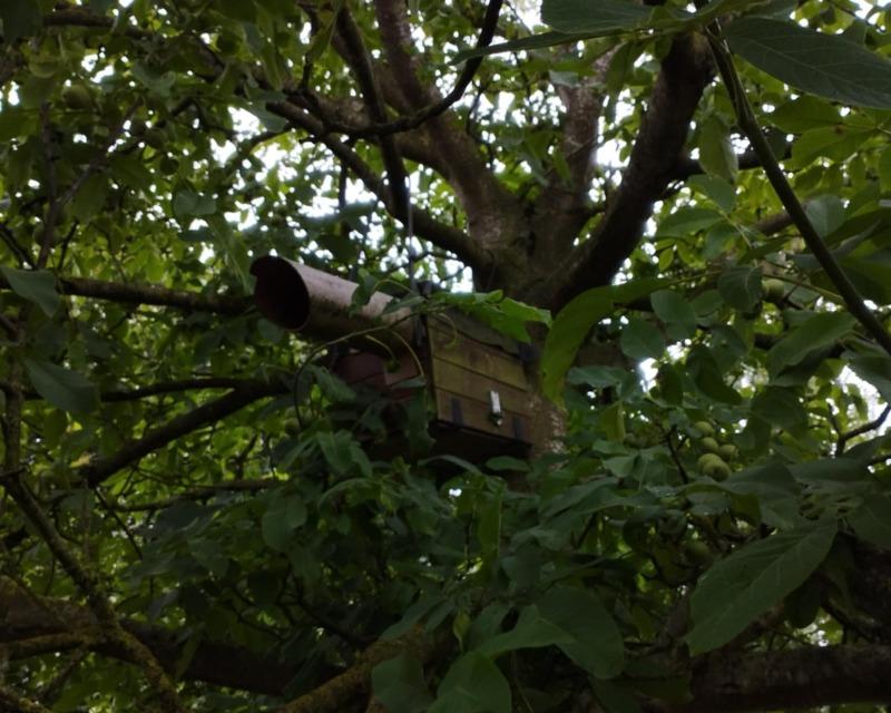 Accueil de la faune