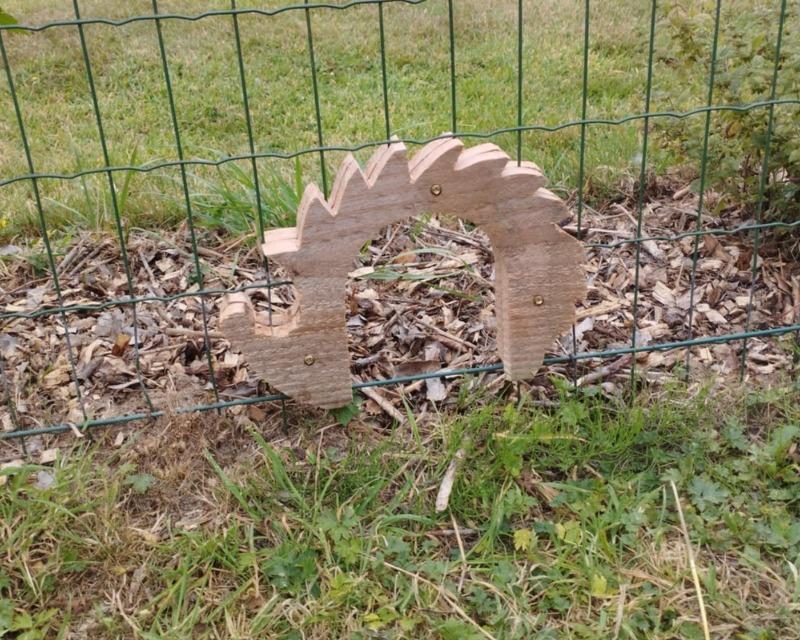 Accueil de la faune