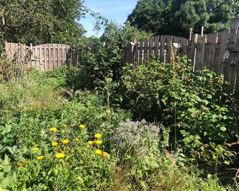 20250620_092826_nat-rn-terrain-496_photo_IMG_3546.jpg