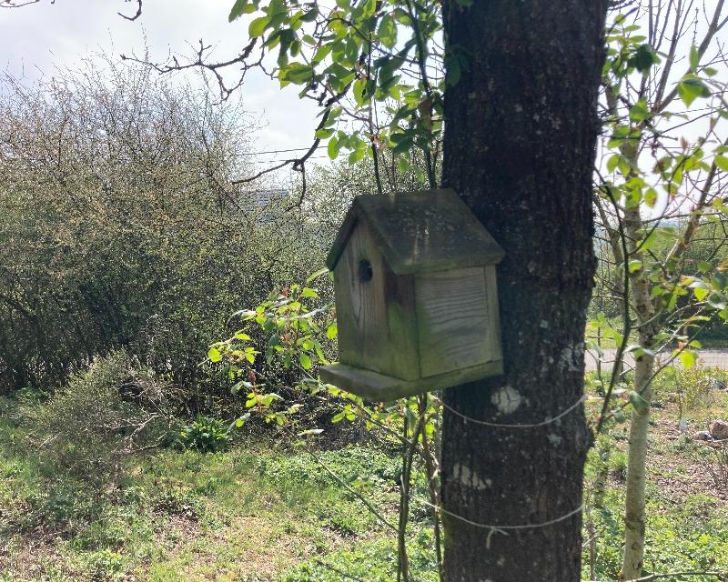 Accueil de la faune