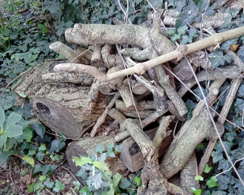 Accueil de la faune